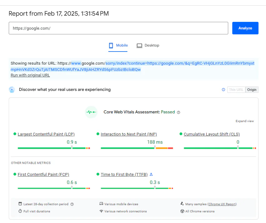A snapshot of PageSpeed Insights analysis.